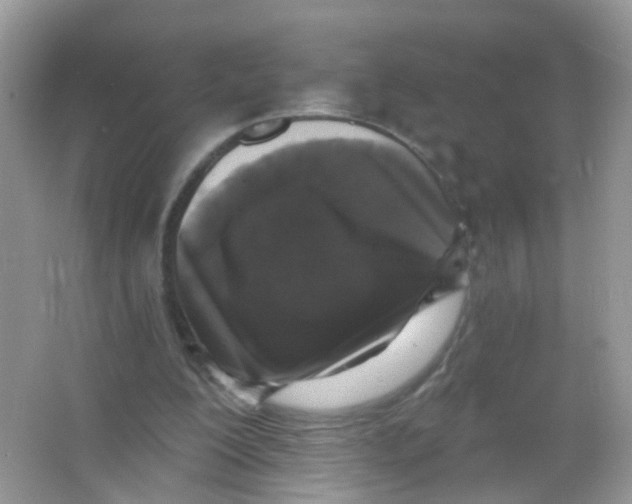 X0000065950200200603241830