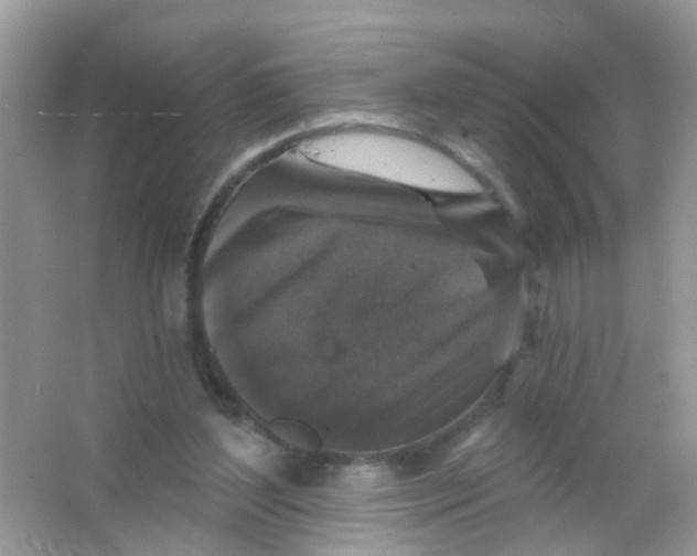 X0000065950204200603241830