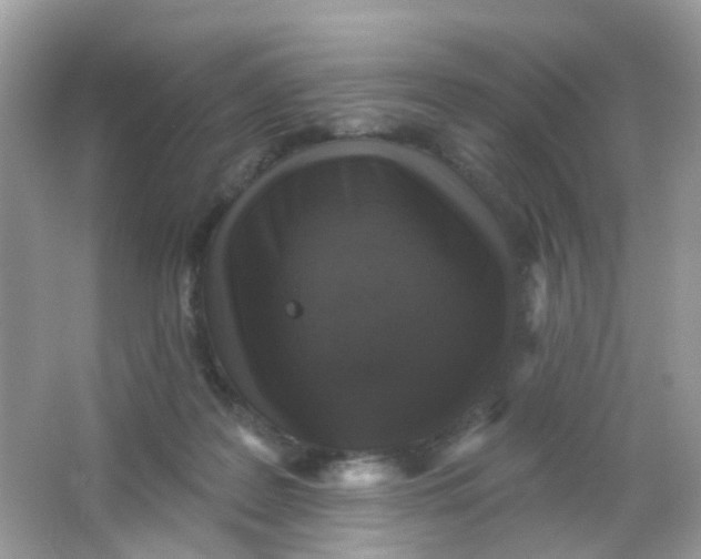 X0000065950219200603241829