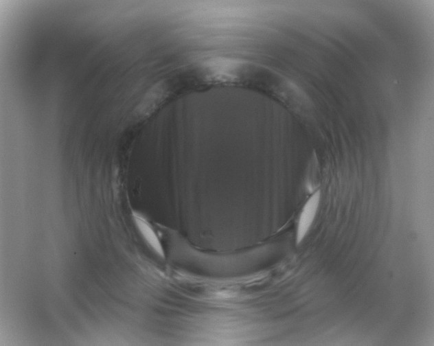X0000065950223200603241829