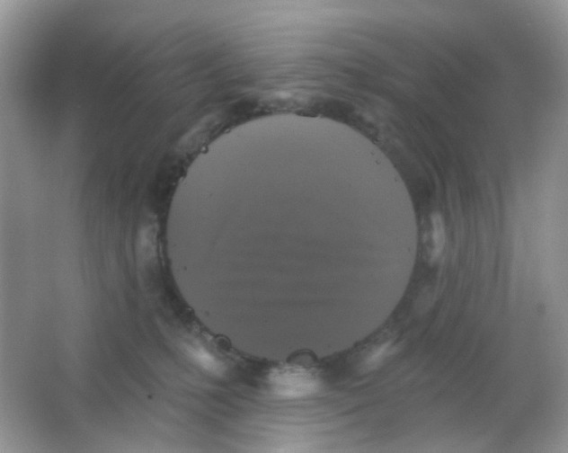 X0000065950231200603241829