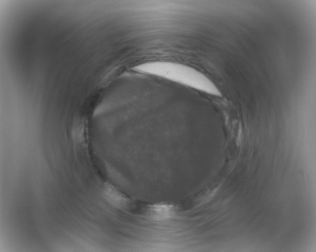 X0000065950233200603241829