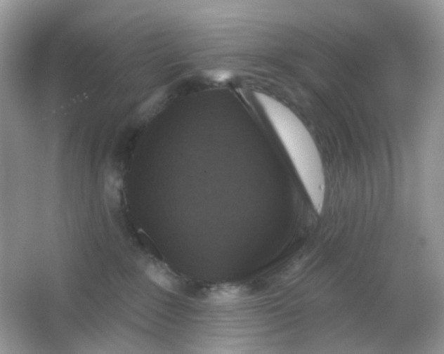 X0000065950235200603241829