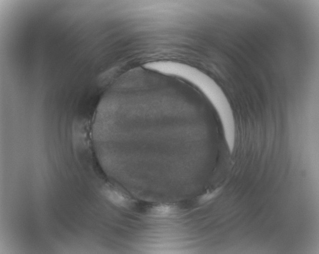 X0000065950237200603241829
