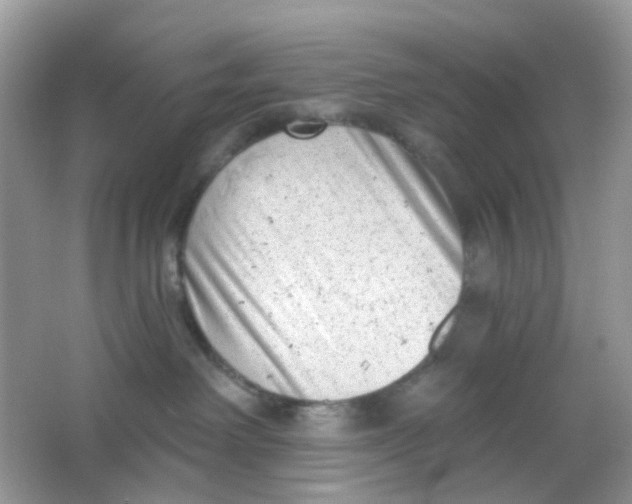 X0000065950238200603241829