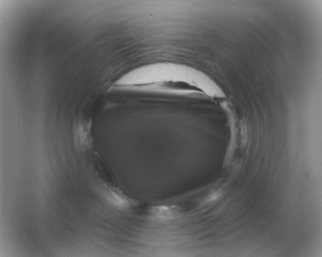 X0000065950239200603241829
