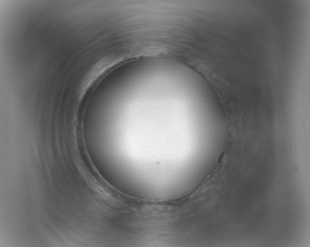 X0000065950242200603241828