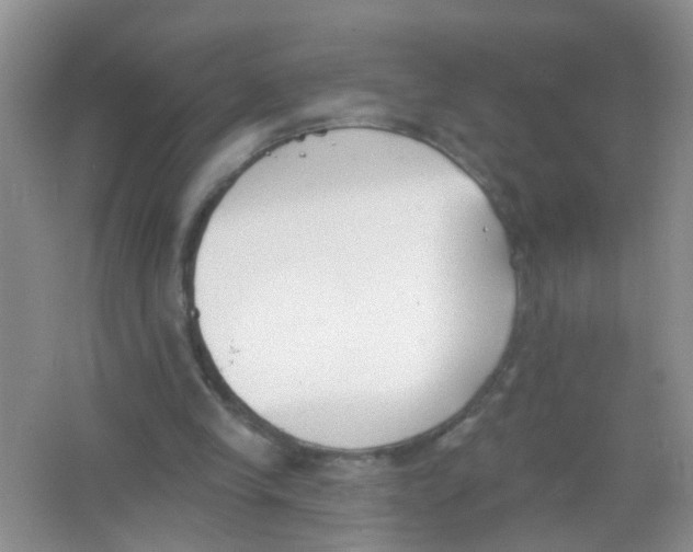 X0000065950245200603241828