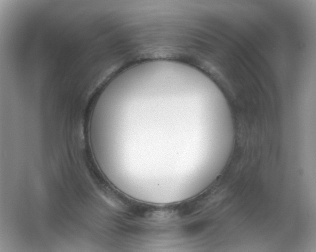 X0000065950251200603241828