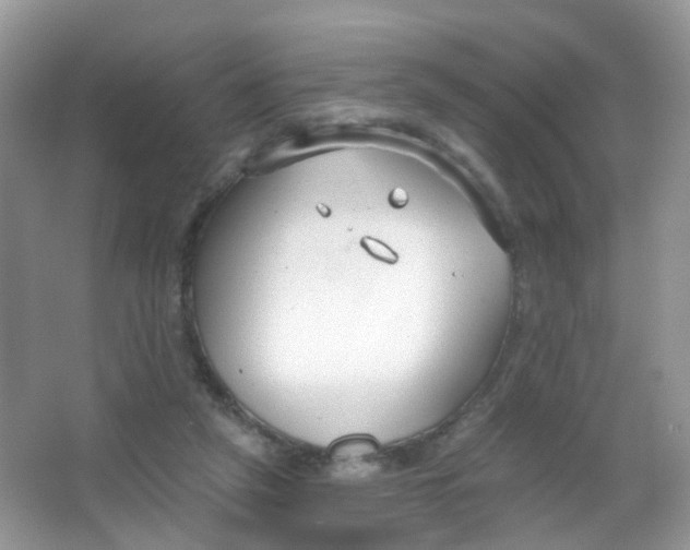 X0000065950257200603241828
