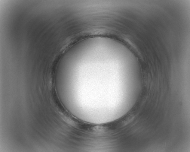 X0000065950261200603241828