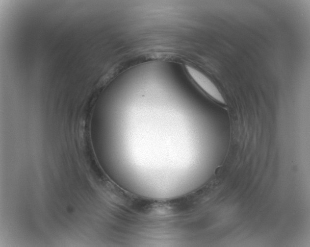 X0000065950263200603241829