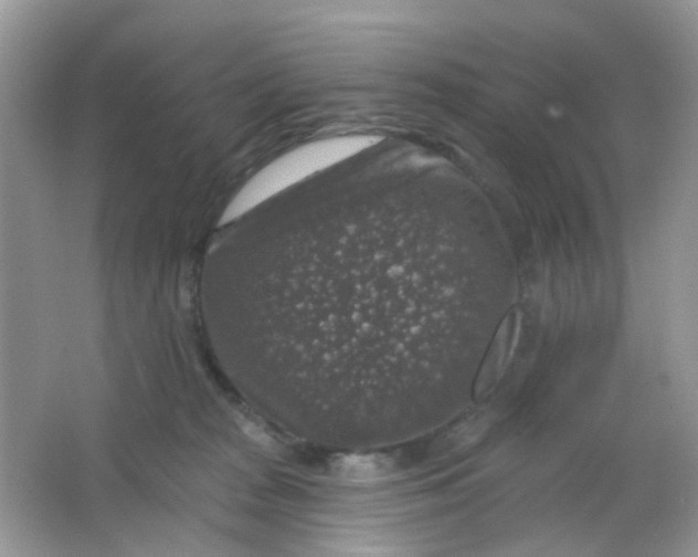 X0000065950277200603241829