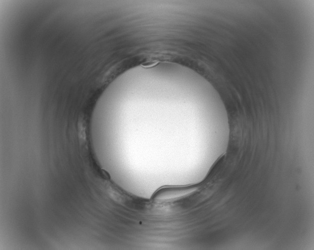 X0000065950282200603241829