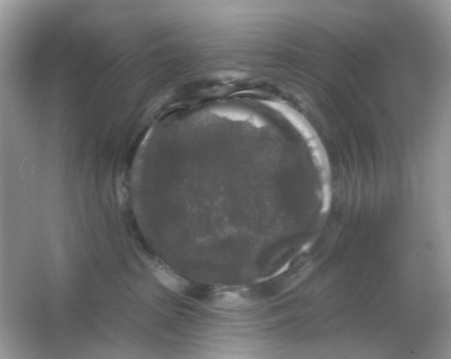 X0000065950285200603241829