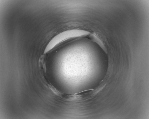 X0000065950288200603241829