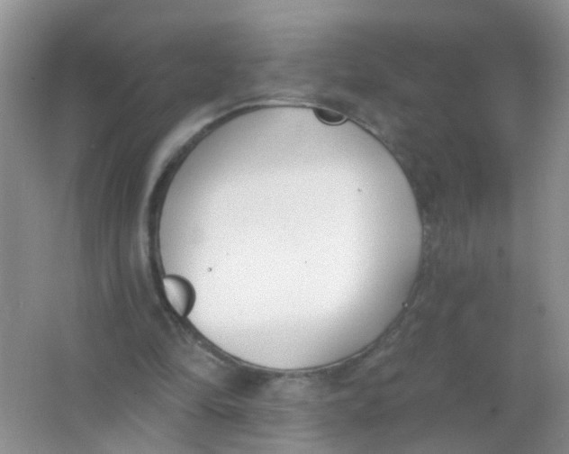 X0000065950294200603241828