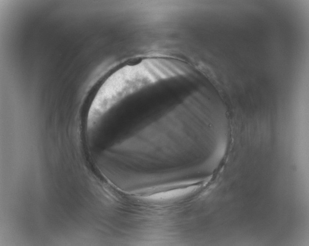 X0000065950295200603241828