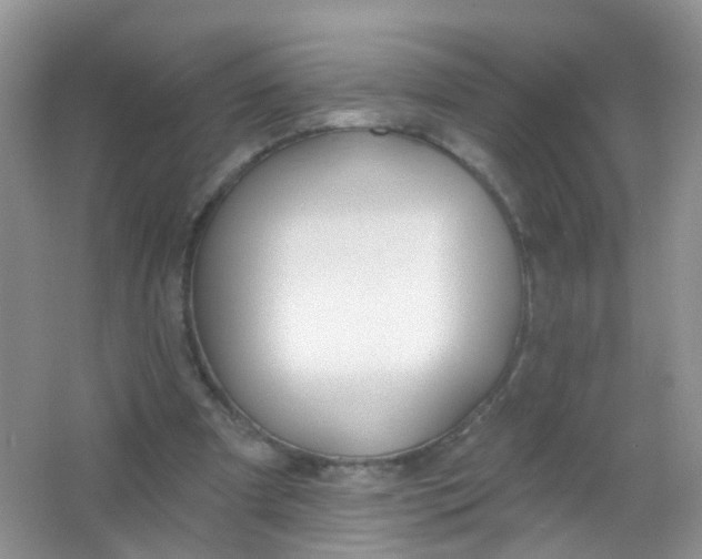 X0000065950297200603241828