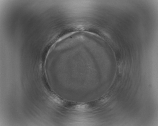 X0000065950314200603241828