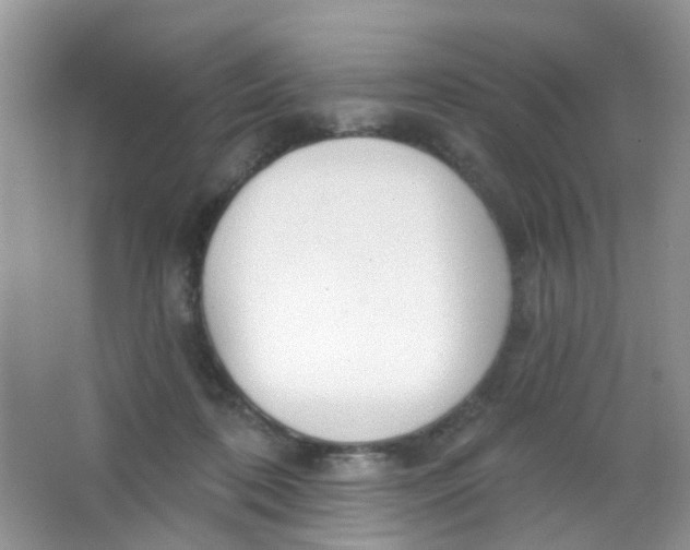 X0000065950316200603241828