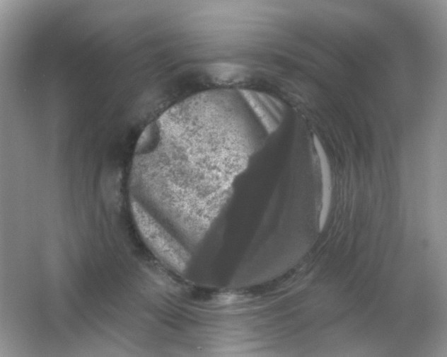 X0000065950319200603241828
