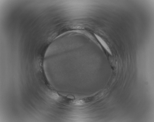 X0000065950322200603241828