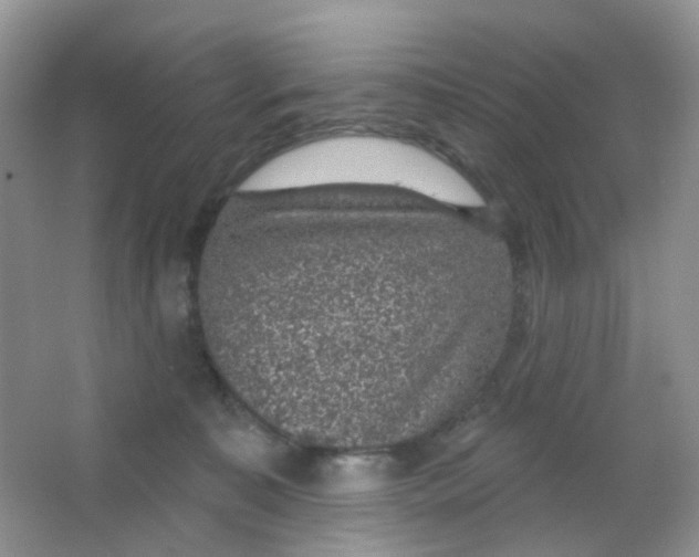 X0000065950323200603241828