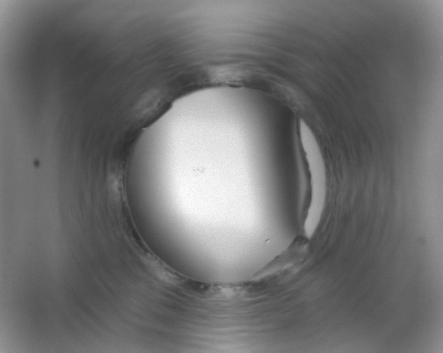 X0000065950329200603241827