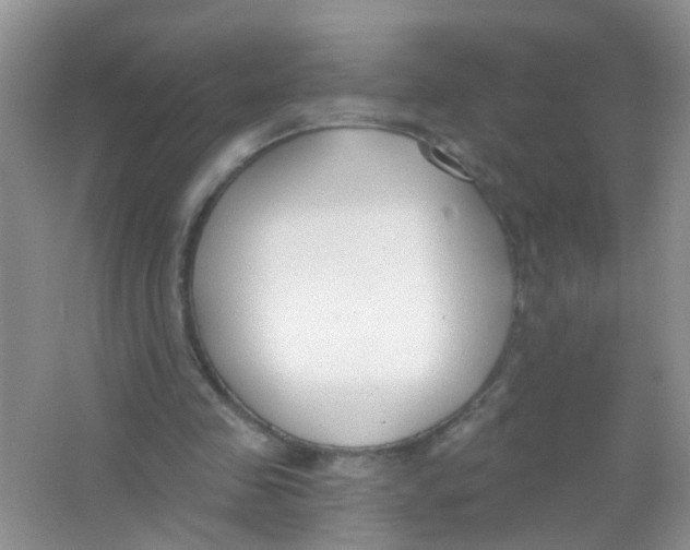 X0000065950341200603241827