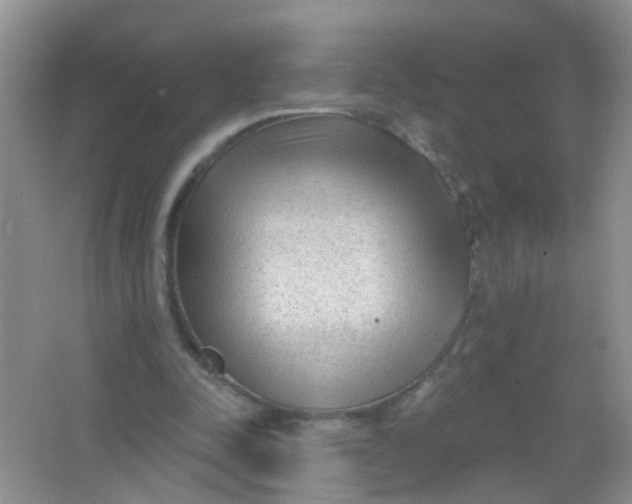X0000065950342200603241827