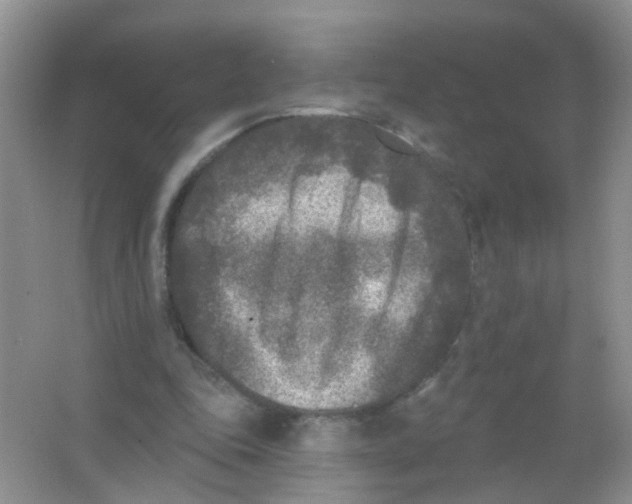 X0000065950343200603241827