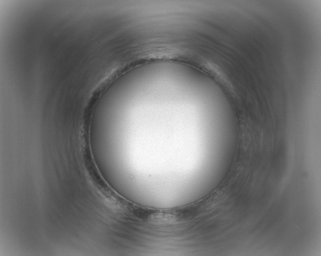 X0000065950354200603241827