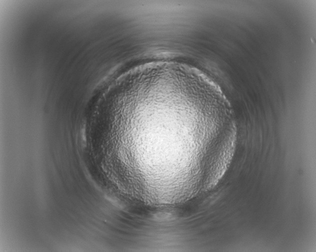 X0000065950358200603241827