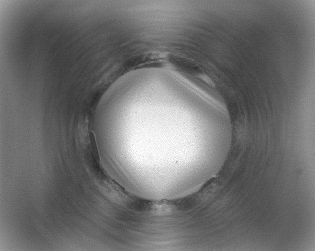 X0000065950376200603241827