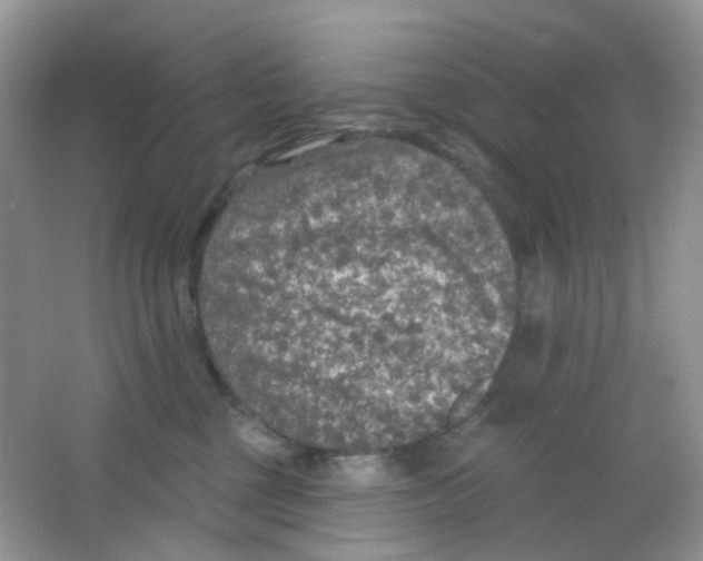 X0000065950377200603241827
