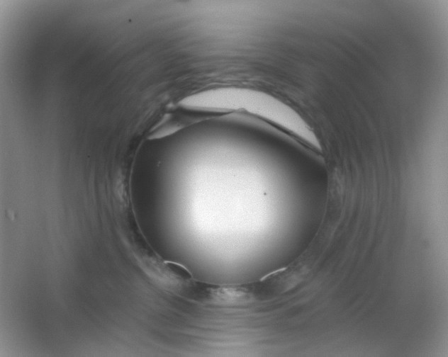 X0000065950380200603241827