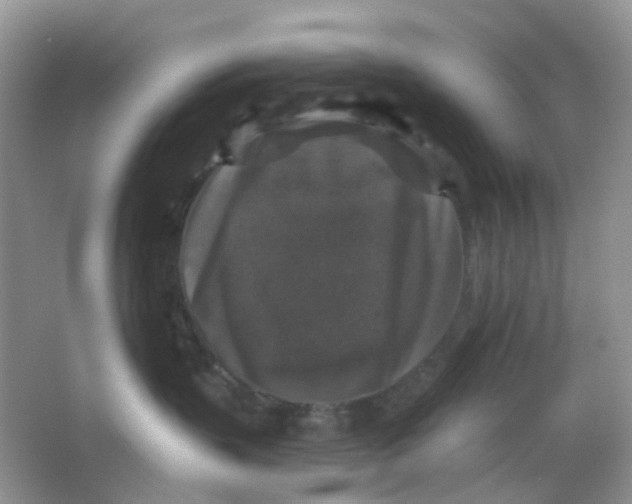X0000065950383200603241827