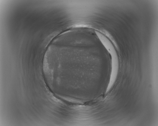 X0000065950385200603241827