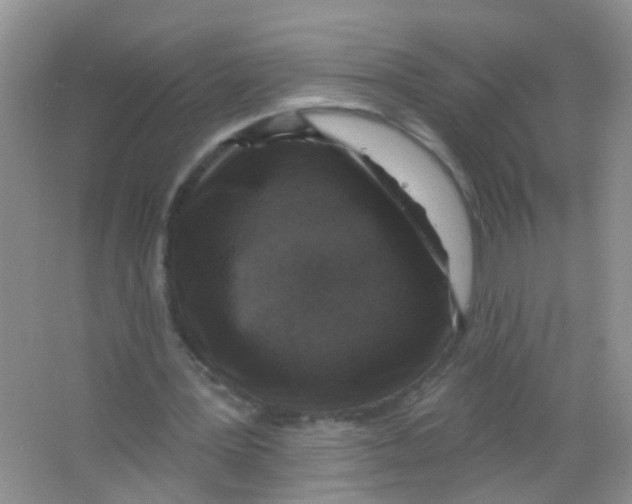 X0000065950387200603241826