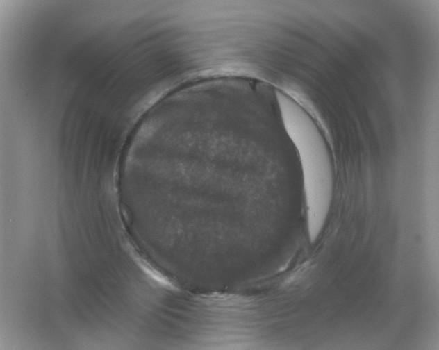 X0000065950389200603241826