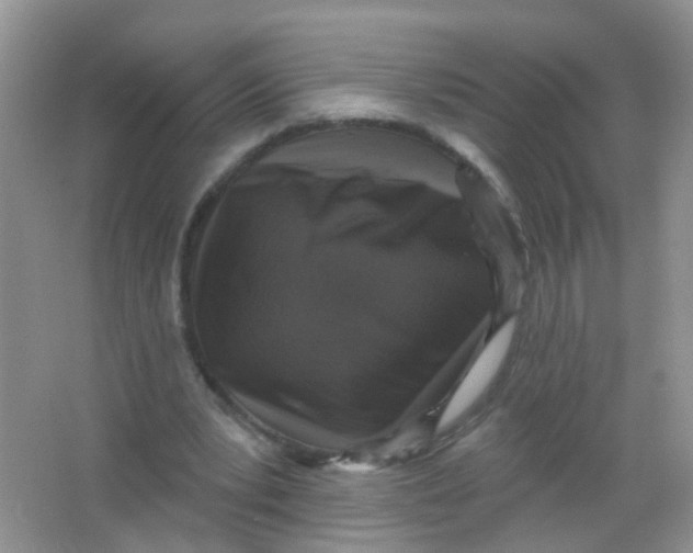 X0000065950391200603241826