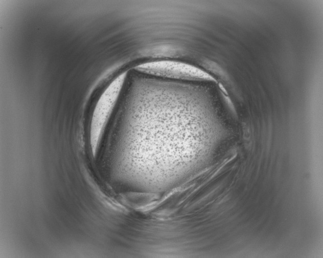 X0000065950392200603241826