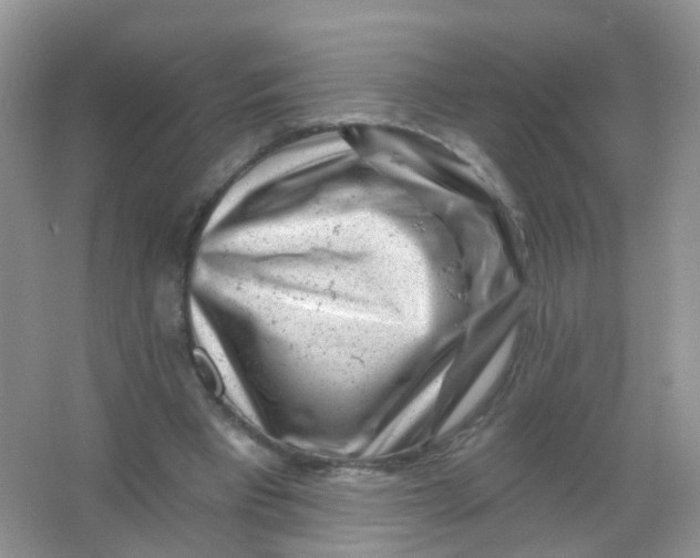 X0000065950393200603241826