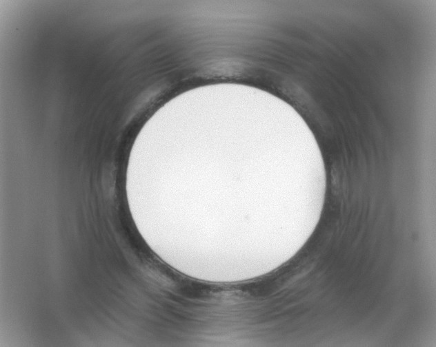 X0000065950396200603241826