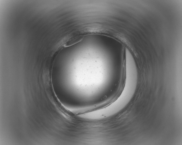 X0000065950397200603241826