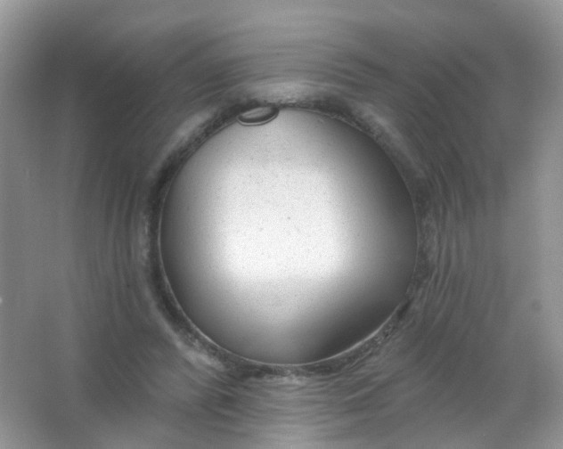X0000065950400200603241826