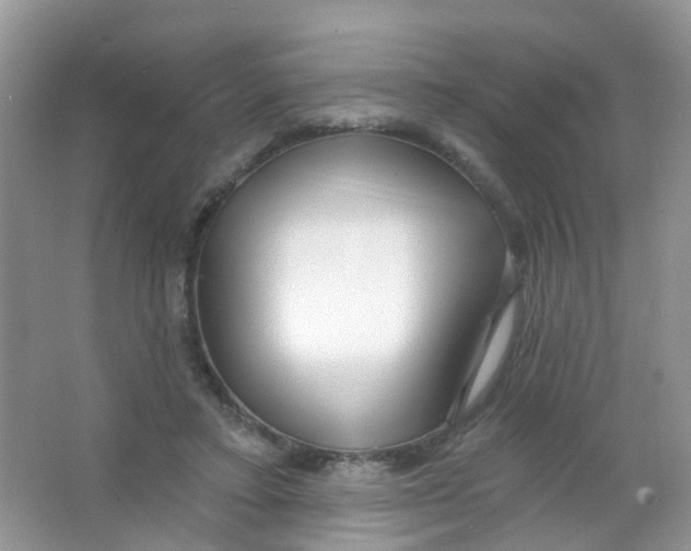 X0000065950403200603241826
