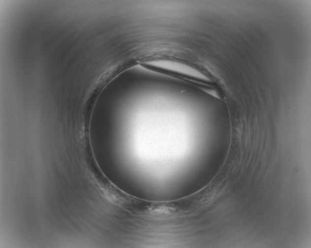 X0000065950407200603241826