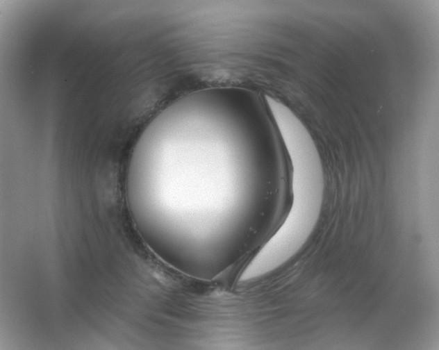 X0000065950416200603241826